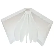 12-Way Frosty Clear DVD Case – 39mm Spine 